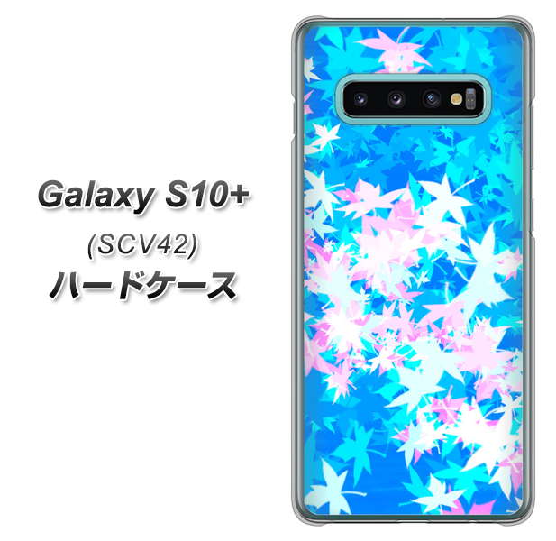 au ギャラクシー S10+ SCV42 高画質仕上げ 背面印刷 ハードケース【YJ290 デザインもみじ】