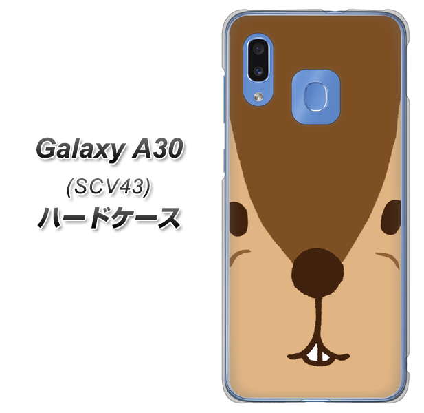 au ギャラクシー A30 SCV43 高画質仕上げ 背面印刷 ハードケース【349 りす】