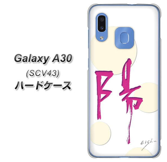au ギャラクシー A30 SCV43 高画質仕上げ 背面印刷 ハードケース【OE833 陽】