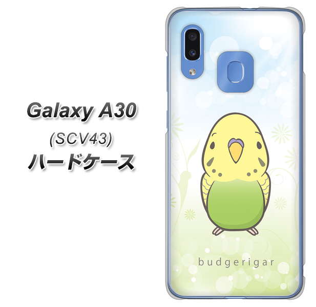 au ギャラクシー A30 SCV43 高画質仕上げ 背面印刷 ハードケース【SC838 セキセイインコ グリーン】