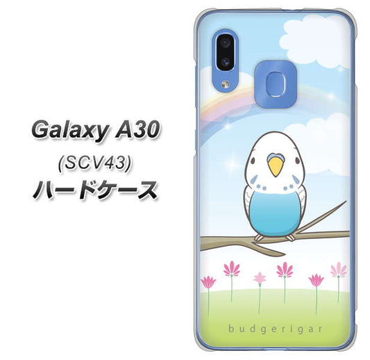 au ギャラクシー A30 SCV43 高画質仕上げ 背面印刷 ハードケース【SC839 セキセイインコ ブルー】