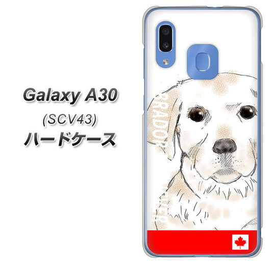 au ギャラクシー A30 SCV43 高画質仕上げ 背面印刷 ハードケース【YD821 ラブラドールレトリバー02】