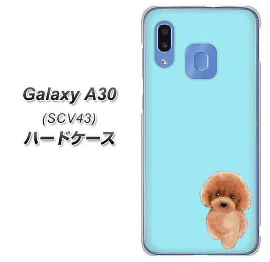 au ギャラクシー A30 SCV43 高画質仕上げ 背面印刷 ハードケース【YJ050 トイプードルレッド(ブルー)】