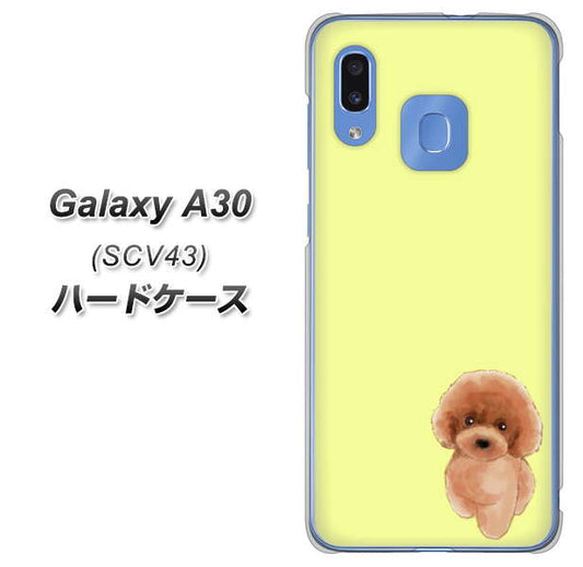 au ギャラクシー A30 SCV43 高画質仕上げ 背面印刷 ハードケース【YJ051 トイプードルレッド(イエロー)】