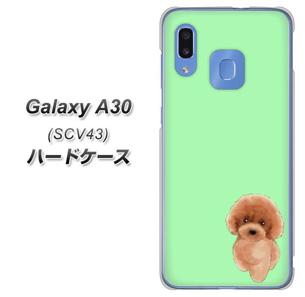 au ギャラクシー A30 SCV43 高画質仕上げ 背面印刷 ハードケース【YJ052 トイプードルレッド( グリーン)】