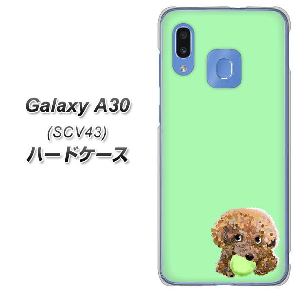 au ギャラクシー A30 SCV43 高画質仕上げ 背面印刷 ハードケース【YJ055 トイプードル&ボール(グリーン)】