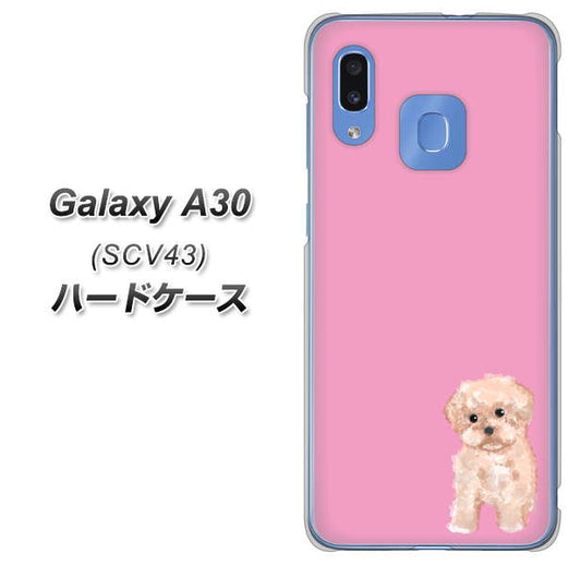au ギャラクシー A30 SCV43 高画質仕上げ 背面印刷 ハードケース【YJ061 トイプードルアプリコット(ピンク)】