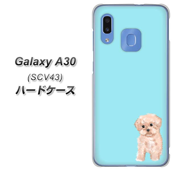 au ギャラクシー A30 SCV43 高画質仕上げ 背面印刷 ハードケース【YJ062 トイプードルアプリコット(ブルー)】