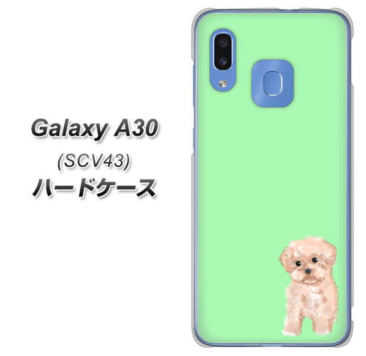 au ギャラクシー A30 SCV43 高画質仕上げ 背面印刷 ハードケース【YJ063 トイプードルアプリコット(グリーン)】