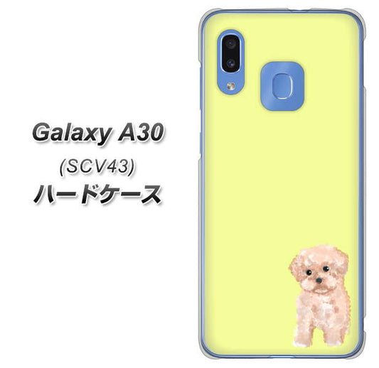 au ギャラクシー A30 SCV43 高画質仕上げ 背面印刷 ハードケース【YJ064 トイプードルアプリコット(イエロー)】