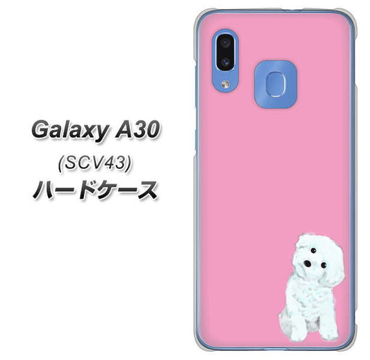au ギャラクシー A30 SCV43 高画質仕上げ 背面印刷 ハードケース【YJ069 トイプードルホワイト(ピンク)】
