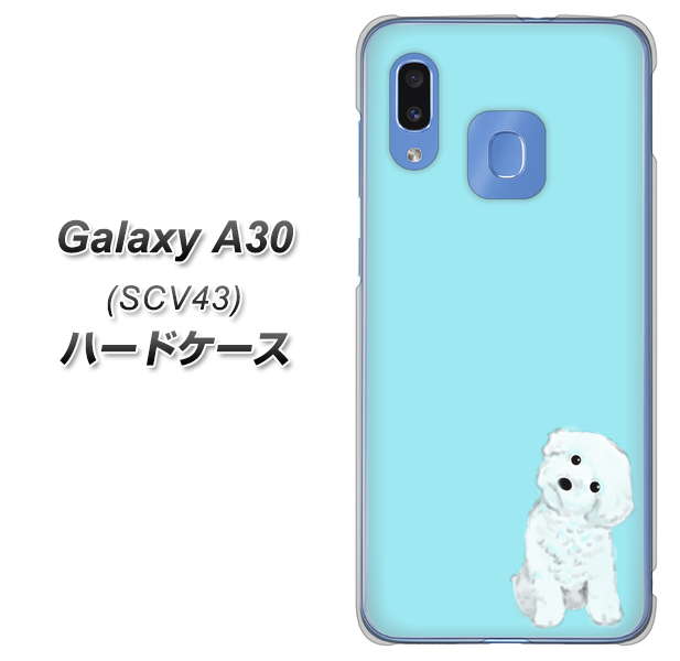 au ギャラクシー A30 SCV43 高画質仕上げ 背面印刷 ハードケース【YJ070 トイプードルホワイト(ブルー)】