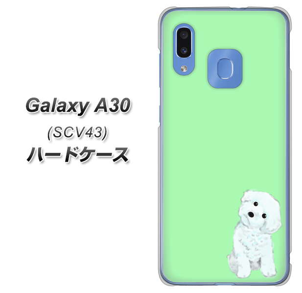 au ギャラクシー A30 SCV43 高画質仕上げ 背面印刷 ハードケース【YJ071 トイプードルホワイト(グリーン)】