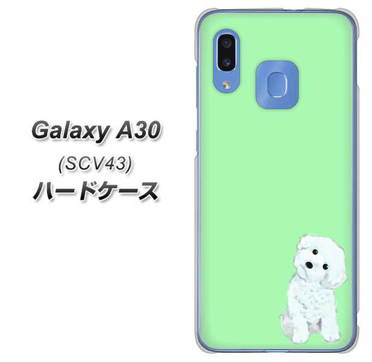 au ギャラクシー A30 SCV43 高画質仕上げ 背面印刷 ハードケース【YJ071 トイプードルホワイト(グリーン)】