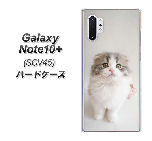 au ギャラクシー ノート10+ SCV45 高画質仕上げ 背面印刷 ハードケース【VA803 まっていますネコ】