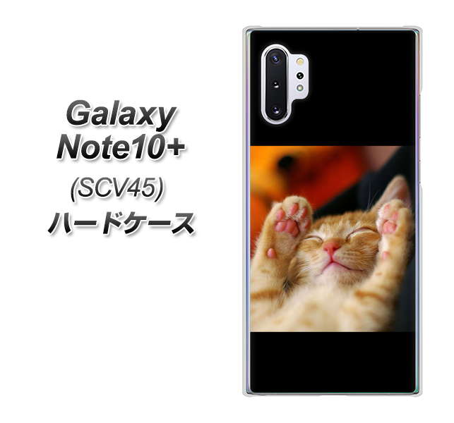 au ギャラクシー ノート10+ SCV45 高画質仕上げ 背面印刷 ハードケース【VA804 爆睡するネコ】