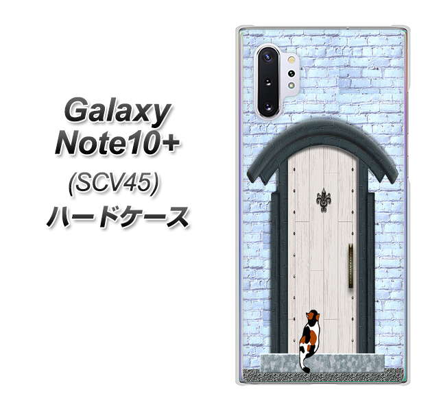 au ギャラクシー ノート10+ SCV45 高画質仕上げ 背面印刷 ハードケース【YA951 石ドア01】