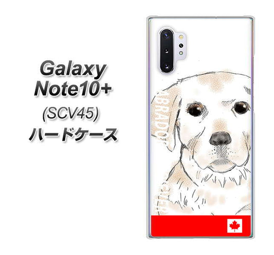 au ギャラクシー ノート10+ SCV45 高画質仕上げ 背面印刷 ハードケース【YD821 ラブラドールレトリバー02】