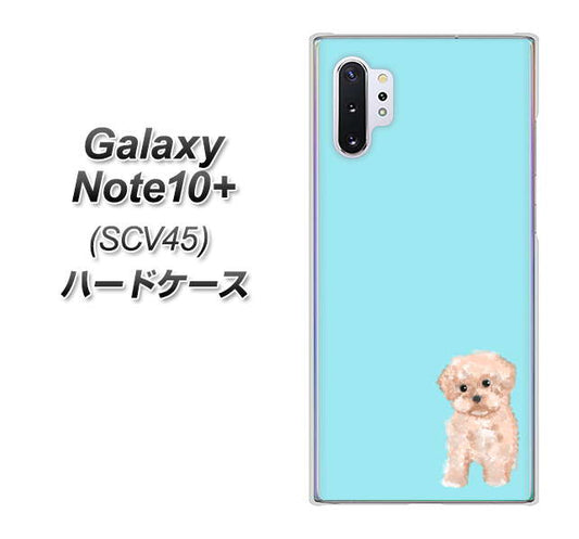 au ギャラクシー ノート10+ SCV45 高画質仕上げ 背面印刷 ハードケース【YJ062 トイプードルアプリコット(ブルー)】