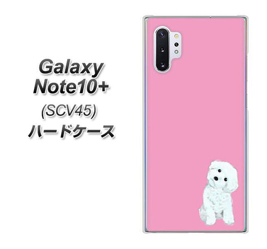 au ギャラクシー ノート10+ SCV45 高画質仕上げ 背面印刷 ハードケース【YJ069 トイプードルホワイト(ピンク)】