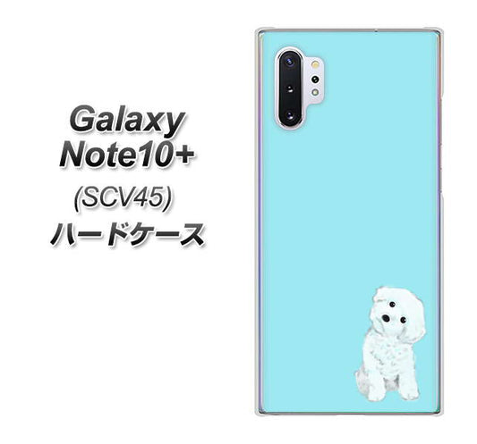 au ギャラクシー ノート10+ SCV45 高画質仕上げ 背面印刷 ハードケース【YJ070 トイプードルホワイト(ブルー)】