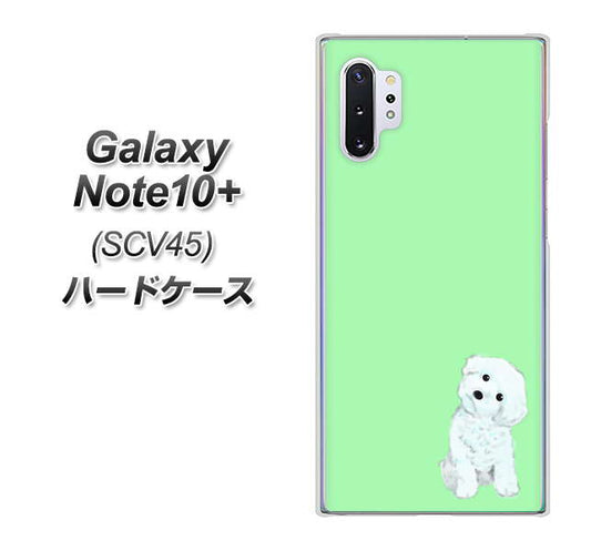 au ギャラクシー ノート10+ SCV45 高画質仕上げ 背面印刷 ハードケース【YJ071 トイプードルホワイト(グリーン)】