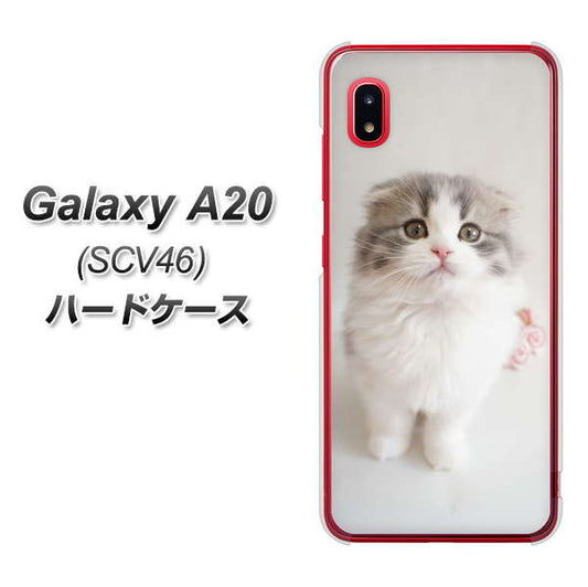 au ギャラクシー A20 SCV46 高画質仕上げ 背面印刷 ハードケース【VA803 まっていますネコ】
