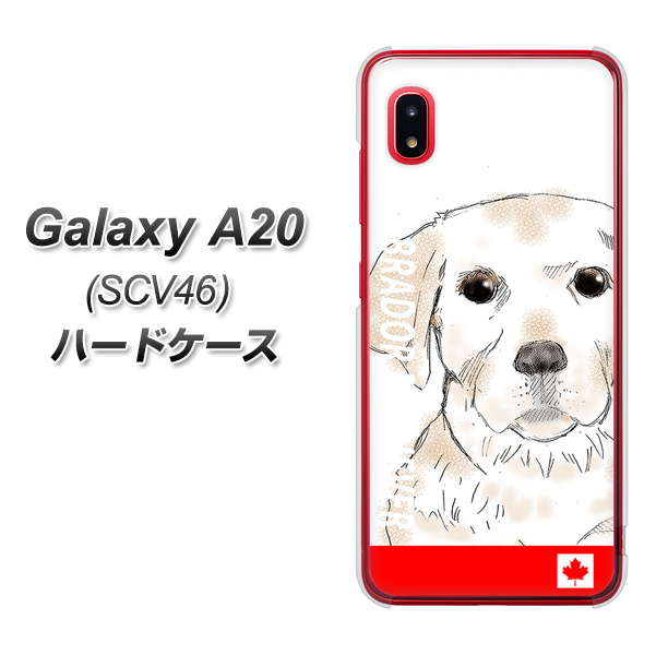 au ギャラクシー A20 SCV46 高画質仕上げ 背面印刷 ハードケース【YD821 ラブラドールレトリバー02】