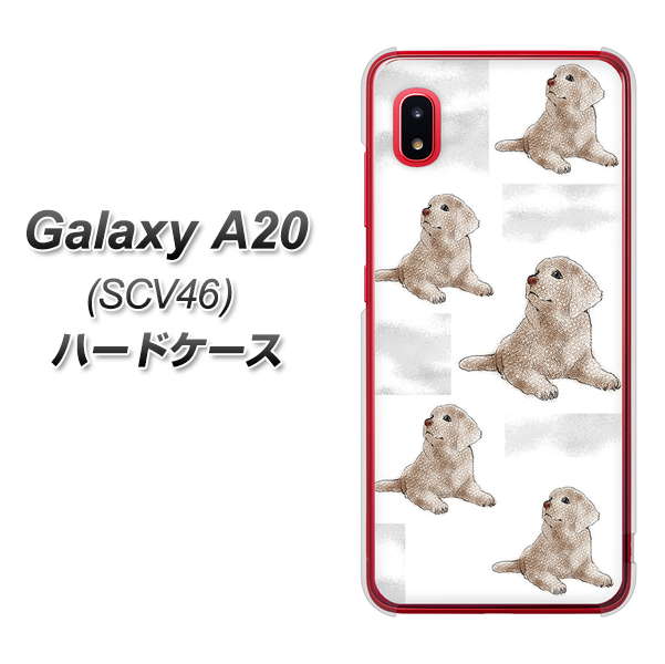 au ギャラクシー A20 SCV46 高画質仕上げ 背面印刷 ハードケース【YD823 ラブラドールレトリバー04】