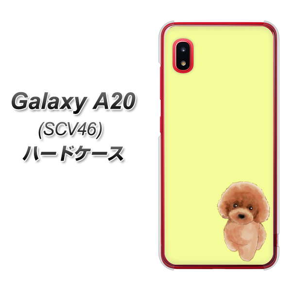 au ギャラクシー A20 SCV46 高画質仕上げ 背面印刷 ハードケース【YJ051 トイプードルレッド(イエロー)】