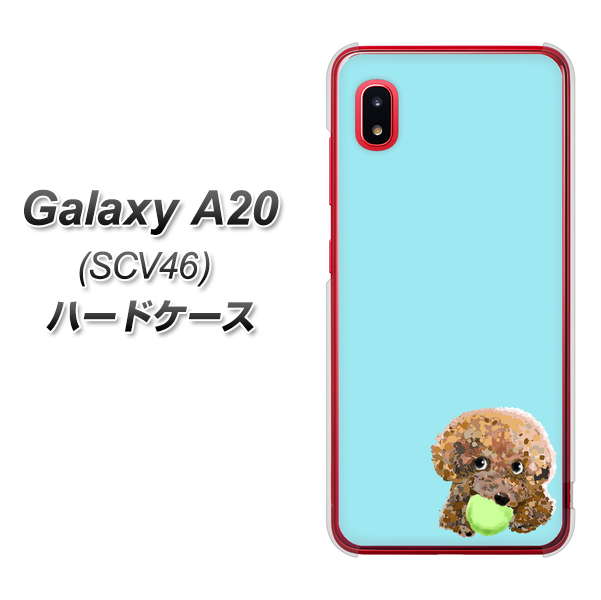 au ギャラクシー A20 SCV46 高画質仕上げ 背面印刷 ハードケース【YJ054 トイプードル&ボール(ブルー)】