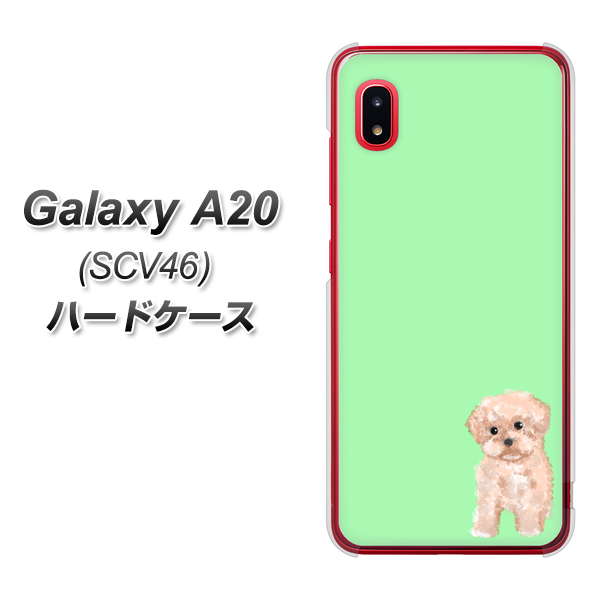 au ギャラクシー A20 SCV46 高画質仕上げ 背面印刷 ハードケース【YJ063 トイプードルアプリコット(グリーン)】