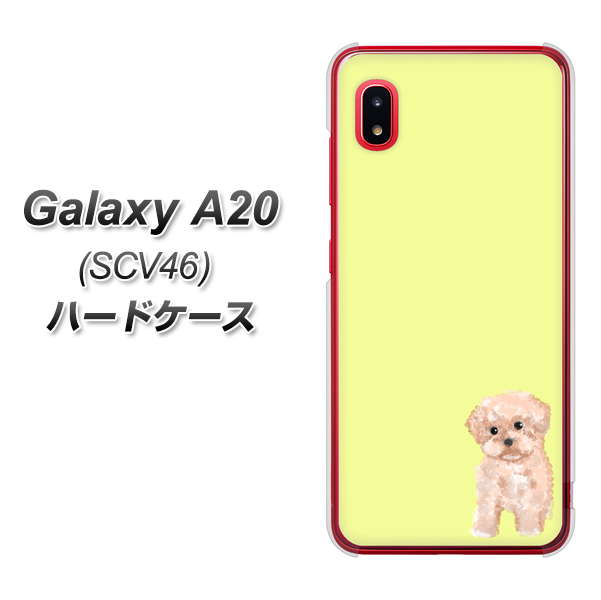 au ギャラクシー A20 SCV46 高画質仕上げ 背面印刷 ハードケース【YJ064 トイプードルアプリコット(イエロー)】