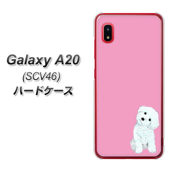 au ギャラクシー A20 SCV46 高画質仕上げ 背面印刷 ハードケース【YJ069 トイプードルホワイト(ピンク)】