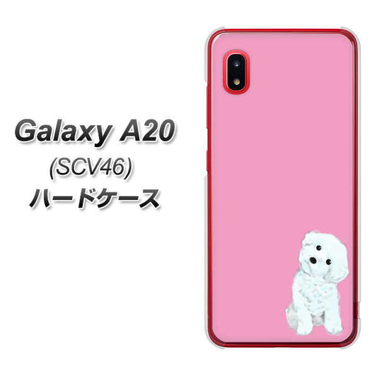 au ギャラクシー A20 SCV46 高画質仕上げ 背面印刷 ハードケース【YJ069 トイプードルホワイト(ピンク)】