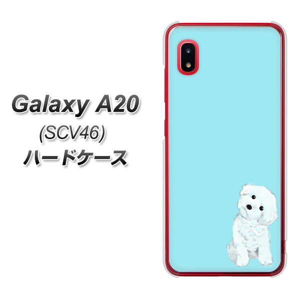 au ギャラクシー A20 SCV46 高画質仕上げ 背面印刷 ハードケース【YJ070 トイプードルホワイト(ブルー)】