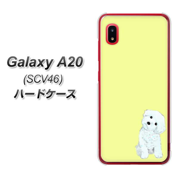 au ギャラクシー A20 SCV46 高画質仕上げ 背面印刷 ハードケース【YJ072 トイプードルホワイト(イエロー)】
