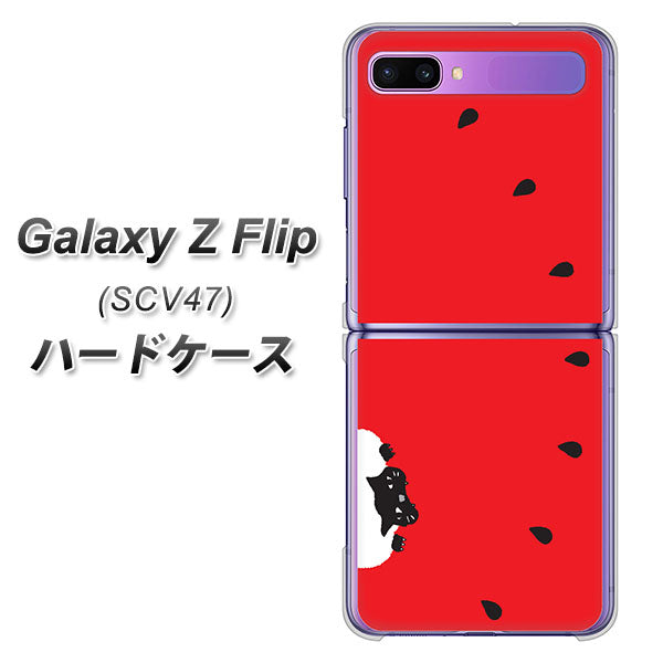 au ギャラクシーZ フリップ SCV47 高画質仕上げ 背面印刷 ハードケース【IA812 すいかをかじるネコ】