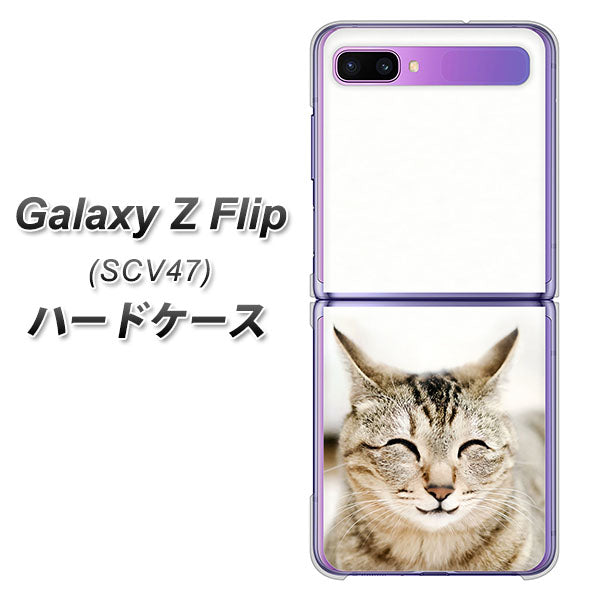 au ギャラクシーZ フリップ SCV47 高画質仕上げ 背面印刷 ハードケース【VA801 笑福ねこ】