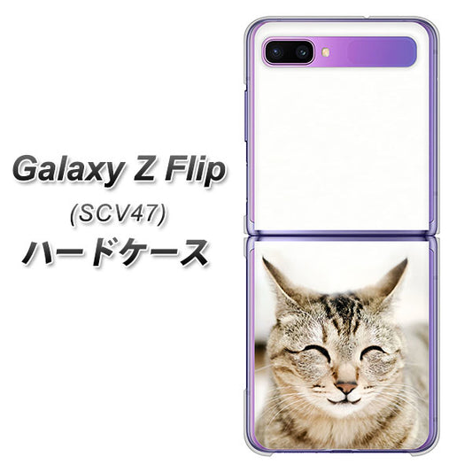 au ギャラクシーZ フリップ SCV47 高画質仕上げ 背面印刷 ハードケース【VA801 笑福ねこ】
