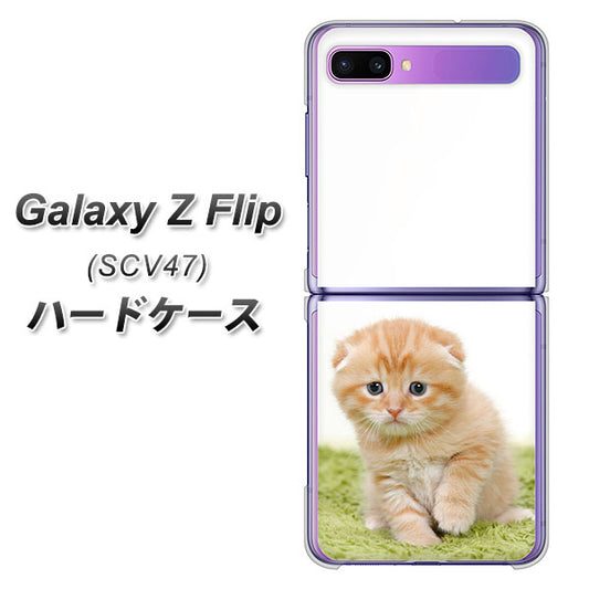 au ギャラクシーZ フリップ SCV47 高画質仕上げ 背面印刷 ハードケース【VA802 ネコこっそり】