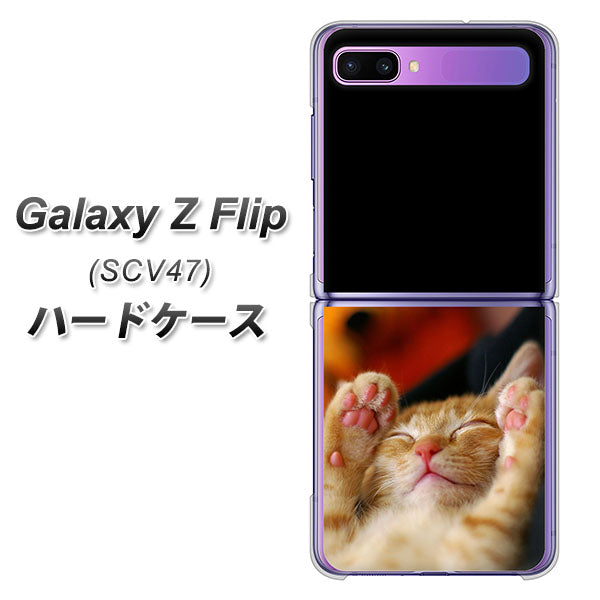 au ギャラクシーZ フリップ SCV47 高画質仕上げ 背面印刷 ハードケース【VA804 爆睡するネコ】