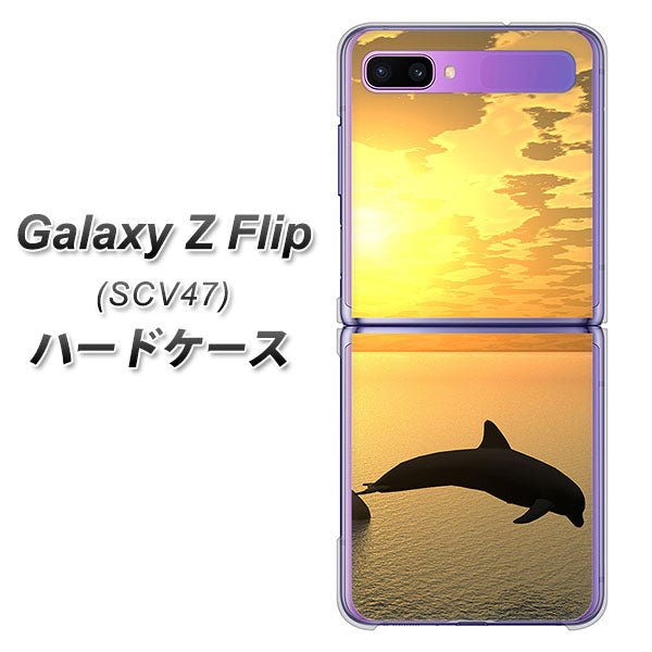 au ギャラクシーZ フリップ SCV47 高画質仕上げ 背面印刷 ハードケース【VA845 夕暮れのドルフィン】