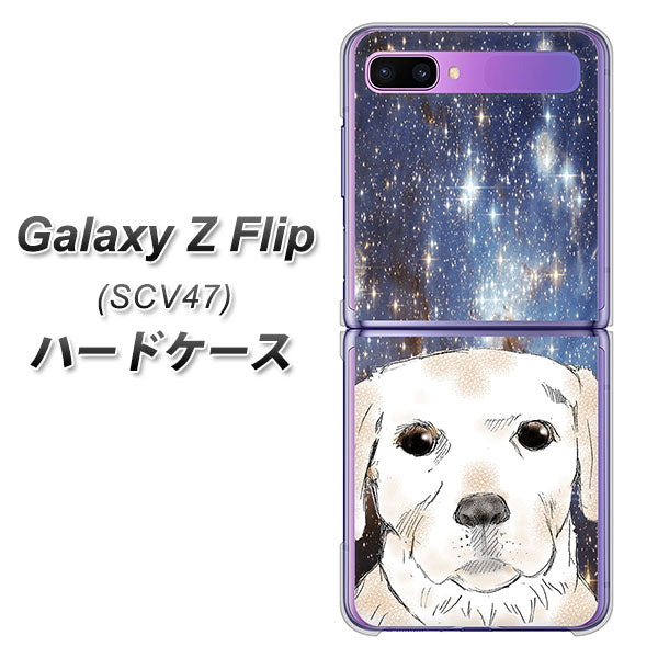 au ギャラクシーZ フリップ SCV47 高画質仕上げ 背面印刷 ハードケース【YD820 ラブラドールレトリバー01】