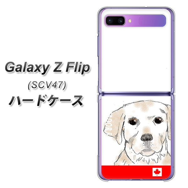 au ギャラクシーZ フリップ SCV47 高画質仕上げ 背面印刷 ハードケース【YD821 ラブラドールレトリバー02】