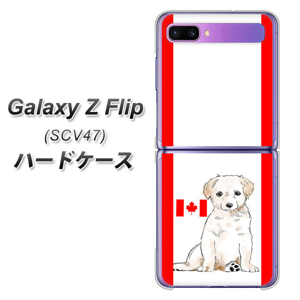 au ギャラクシーZ フリップ SCV47 高画質仕上げ 背面印刷 ハードケース【YD824 ラブラドールレトリバー05】