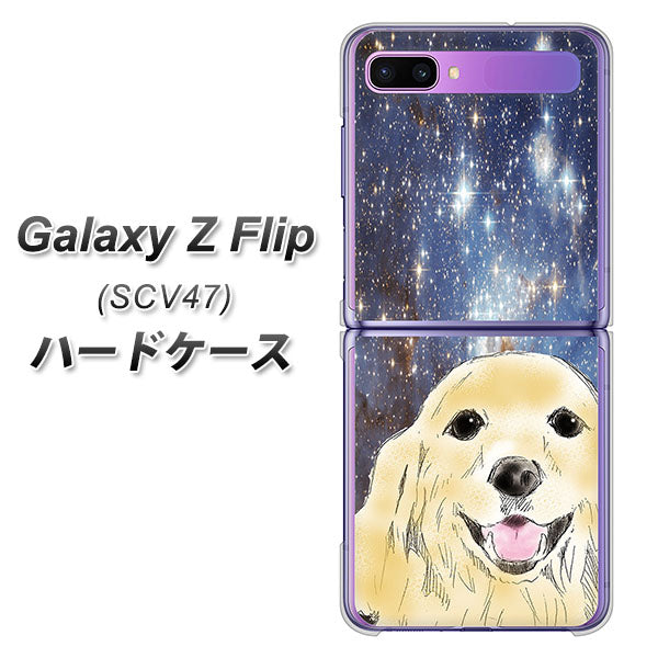 au ギャラクシーZ フリップ SCV47 高画質仕上げ 背面印刷 ハードケース【YD828 ゴールデンレトリバー04】