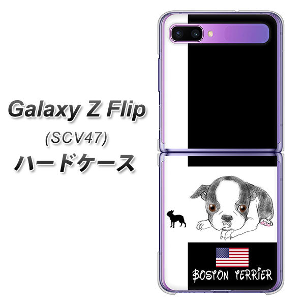 au ギャラクシーZ フリップ SCV47 高画質仕上げ 背面印刷 ハードケース【YD854 ボストンテリア05】