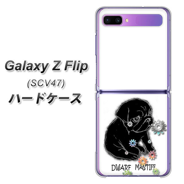 au ギャラクシーZ フリップ SCV47 高画質仕上げ 背面印刷 ハードケース【YD859 パグ05】