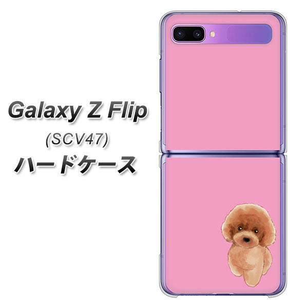 au ギャラクシーZ フリップ SCV47 高画質仕上げ 背面印刷 ハードケース【YJ049 トイプードルレッド(ピンク)】